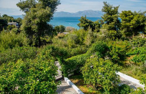 ILIOCHARI sea view apartments Oropos - Kalamos - Foto 36