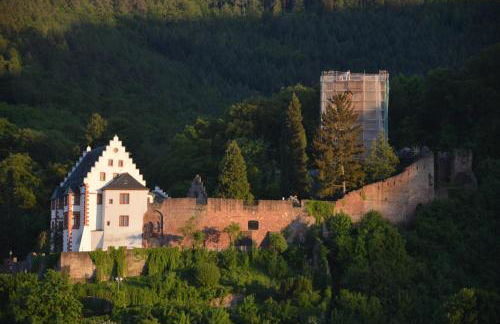 Panorama-Blick Miltenberg, 3 Pers., zentr., am Main, Terrasse, Bootverleih, P - Foto 1