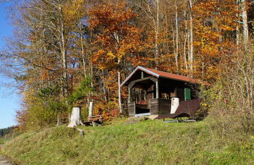 Gemütliche Ferienwohnung mit Terrasse, im Schwarzwald - Foto 37