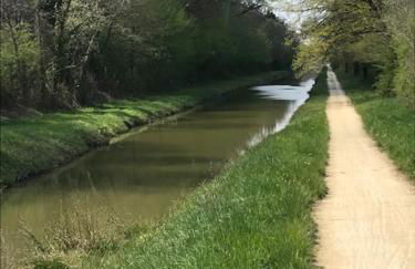 Maison 5 chambres à Lamotte, entre canal et centre équestre - Foto 12