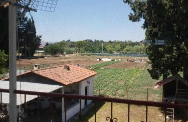 Afroditi Country Residence - Photo 23