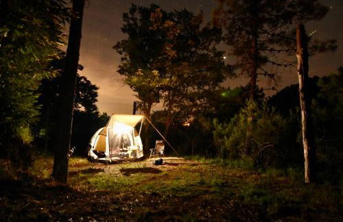 Agriturismo Ca du Chittu - Foto 13