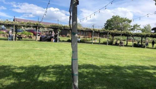 Cave B Ridge River View Retreat 3D - Wine & Relax - Foto 3