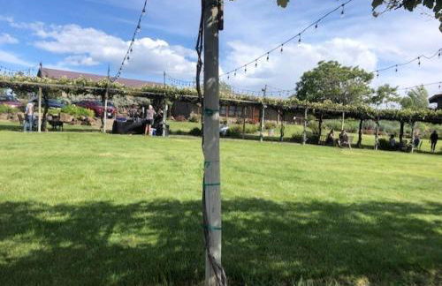 Cave B Ridge River View Retreat 3D - Wine & Relax - Foto 3