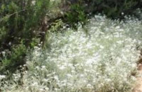 Holiday Home Sea view - Foto 28