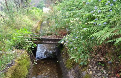 Casa D.Dinis - Foto 39