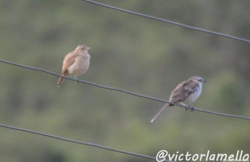 A Casinha Lumiar - Foto 47