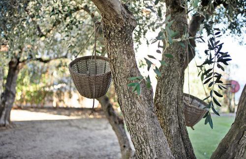 La Taggiasca - Photo 17