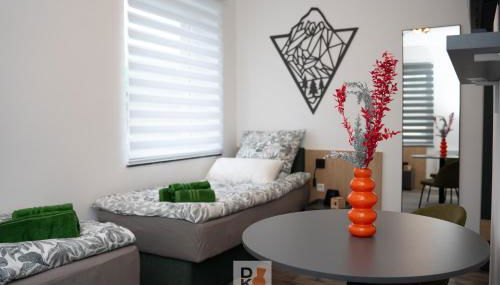 Studio-Apartament free Parking Domus Kushal - Foto 3