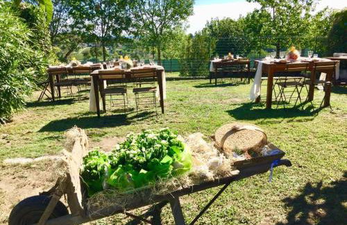 Villa Zene - Foto 31