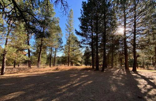 Ponderosa - Peaceful, private cabin on 5 acres by Lake Cascade - Foto 30