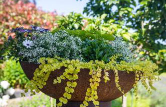 Deine Genuss-Auszeit - Foto 13