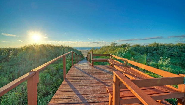 Beachfront, Patio w/ Dune View, 2 Pools, Pickleball Cravin Waves by Avantstay - Foto 2, Interior