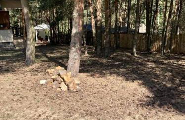 Siedlisko Musialove nad jeziorem 8 osob - Foto 4