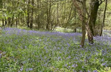 Stunning farm retreat - Photo 13