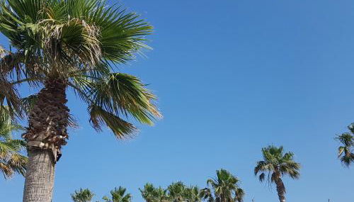 Magnifique 2 pièces vue port et mer - Foto 2