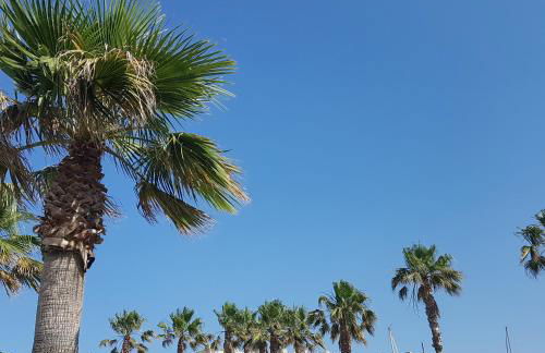 Magnifique 2 pièces vue port et mer - Foto 2