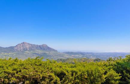 Villa Cipreses Gaucin by Ruralidays - Photo 6