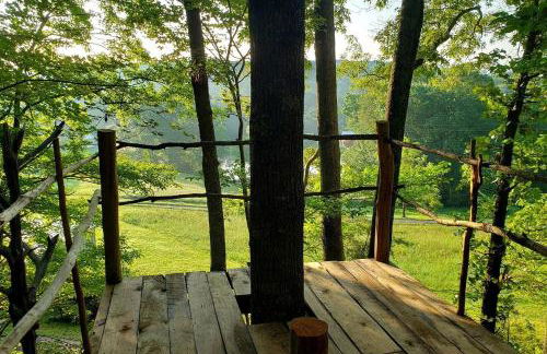 Secluded Forest Cabin with Clear Roof for Stargazing near Watts Bar Lake – Grandview, TN - Foto 7