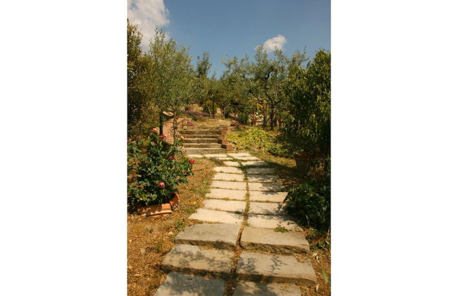 La Montanina - Photo 16