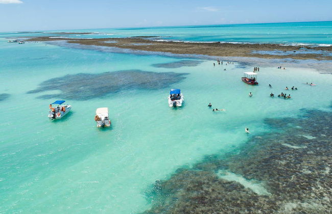 Paseo en barco por las piscinas naturales de Japaratinga - Foto 7