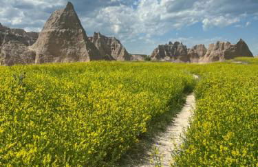 Angostura Oasis - Foto 16