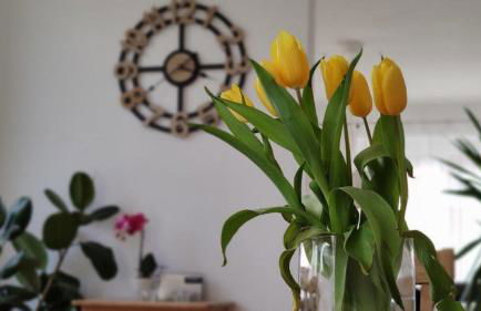 Ferienhaus Stahl - Foto 6