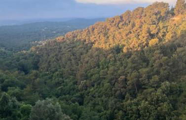 Cosy and Comfy Studio with Sea View - Foto 7