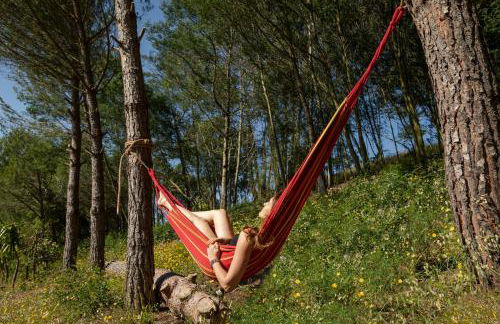 Quinta Camarena - Foto 54