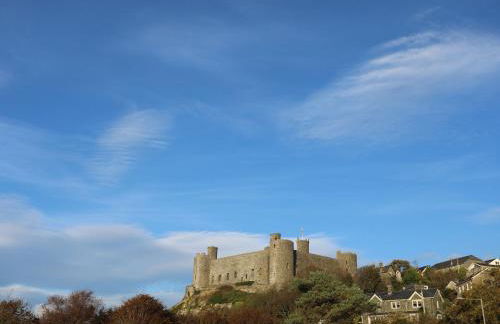 Harlech Apartments - Efnisien - Foto 31