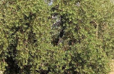 Agriturismo Val della Pieve - Foto 22