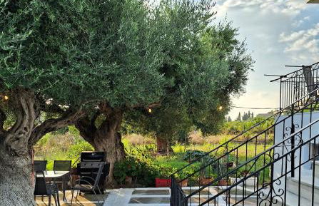 Ermioni Gialova - Foto 14