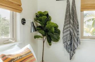 The Kumu House - Photo 28