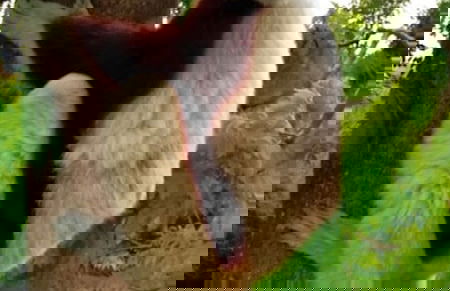 Room-the White-orange Bedroom With a ple - Foto 14