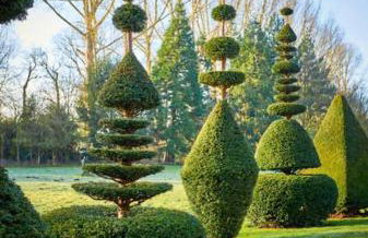 CRESSY HALL - Historic Grade II Listed Manor, Gorgeous Topiary Garden - Foto 48