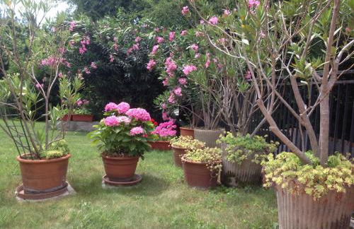 Casa Vacanze All'Orizzonte Duino - Foto 34