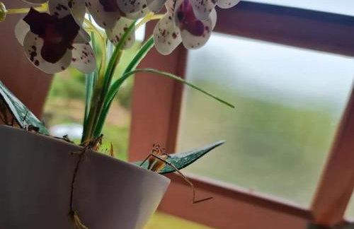 Chalé Barco Recanto Buscapé SFX - Foto 8