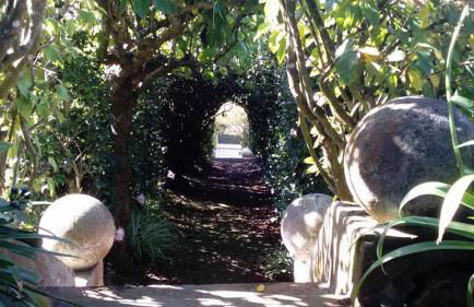 Quinta das Bolas - Photo 63