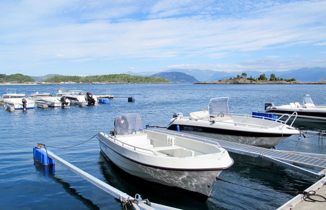 Greenhouse - Photo 28