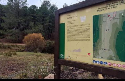 Águila Real - Foto 6