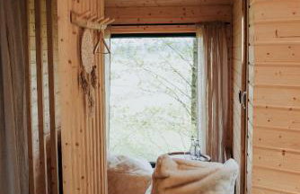 Dziki Las - domki na drzewach - Foto 25