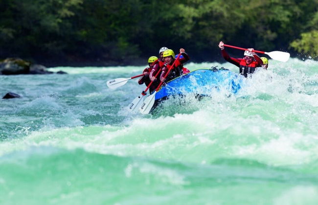 Biologische Pension & Boerderij "de Veitenhof" - Foto 21