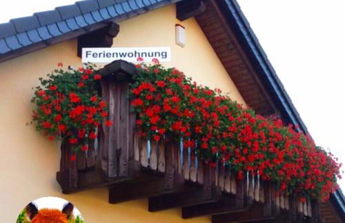 Urlaub mit Alpakas - Foto 43