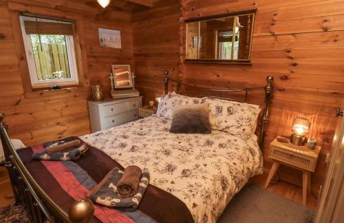 Aurora Skies - Photo 16