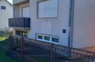 Shalom Krašić - Foto 8