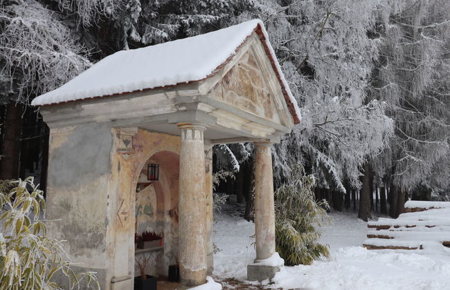 Klippitzrose - Foto 44