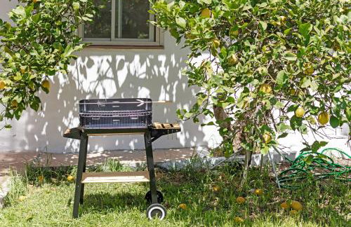 Casa limonero - Foto 20