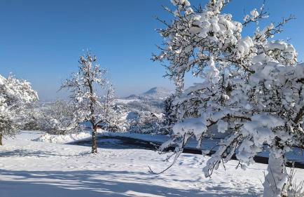 Tourenblick - Ferienwohnung an den drei Kaiserbergen - Foto 29