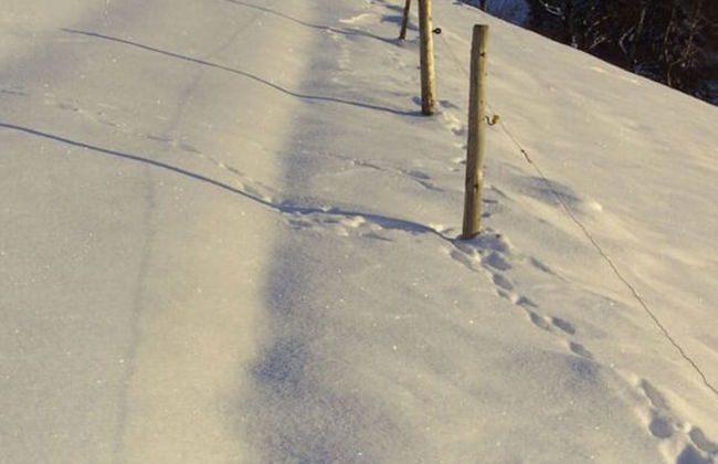 Pleasant Holiday Home With Balcony - Foto 8