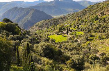 Casa Limón - Alpujarras - Foto 6
